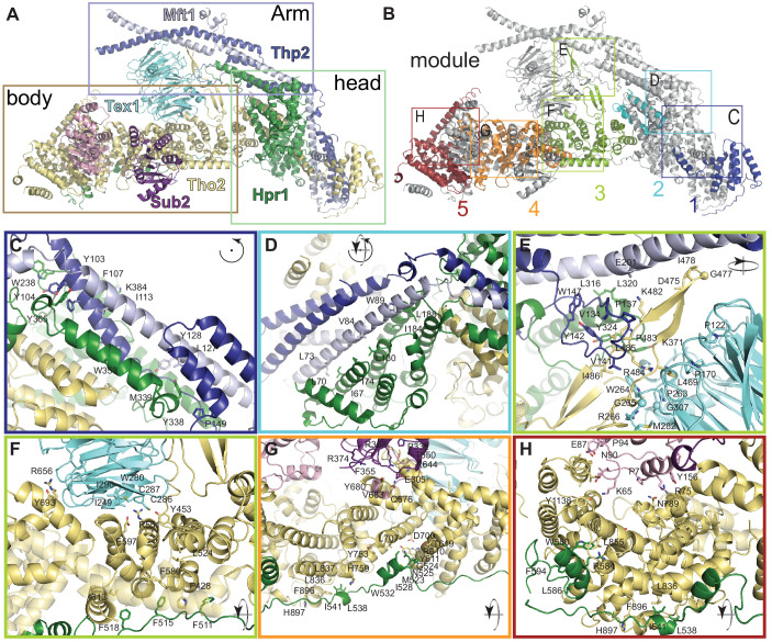 Figure 3—figure supplement 1.