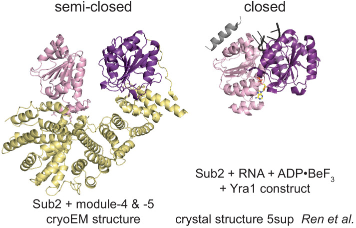 Figure 5—figure supplement 1.