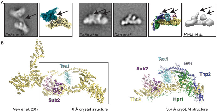 Figure 2—figure supplement 4.