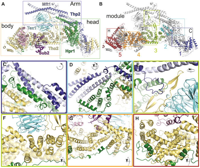 Figure 3.