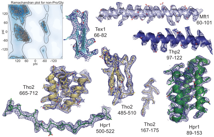 Figure 2—figure supplement 3.