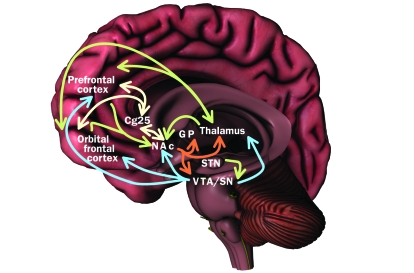 FIGURE 3.