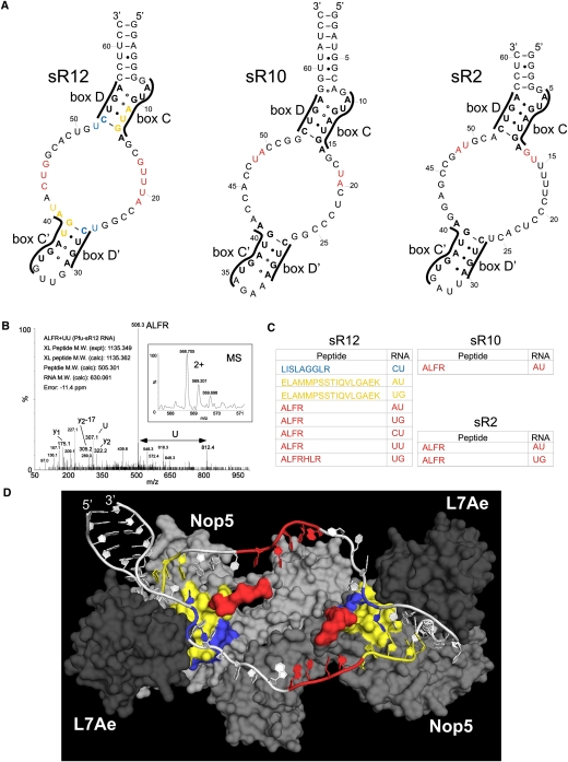 FIGURE 2.