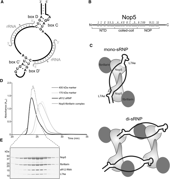 FIGURE 1.