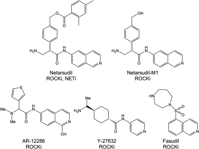 FIG. 1.