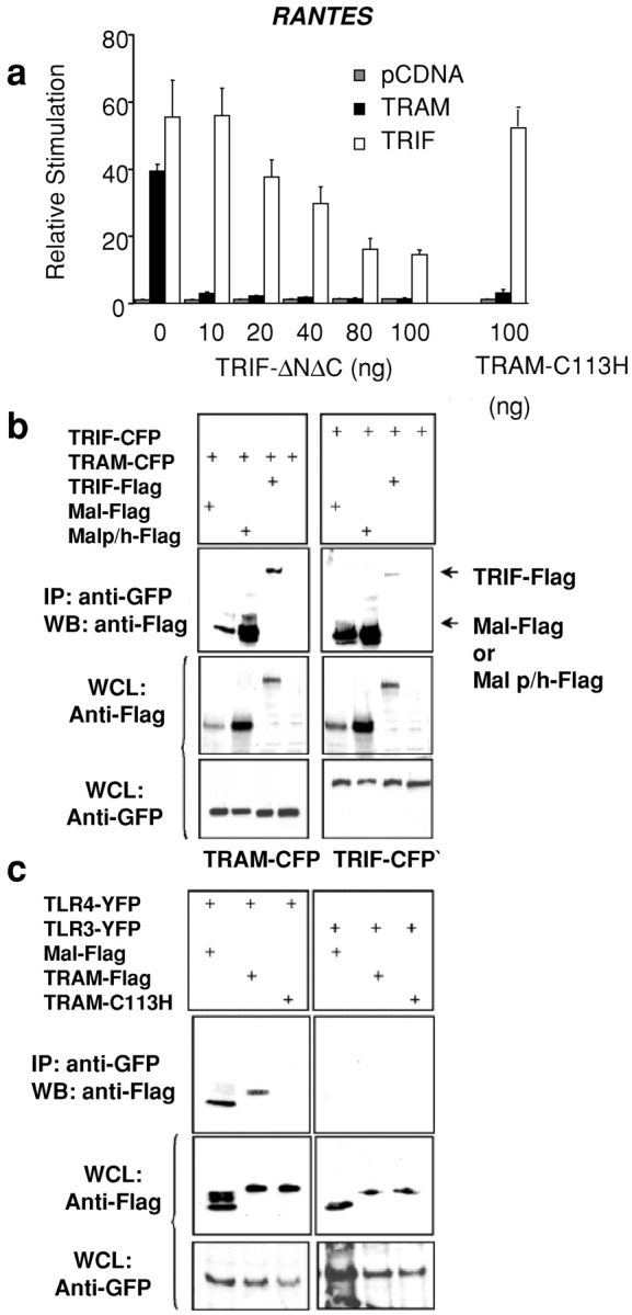 Figure 6.