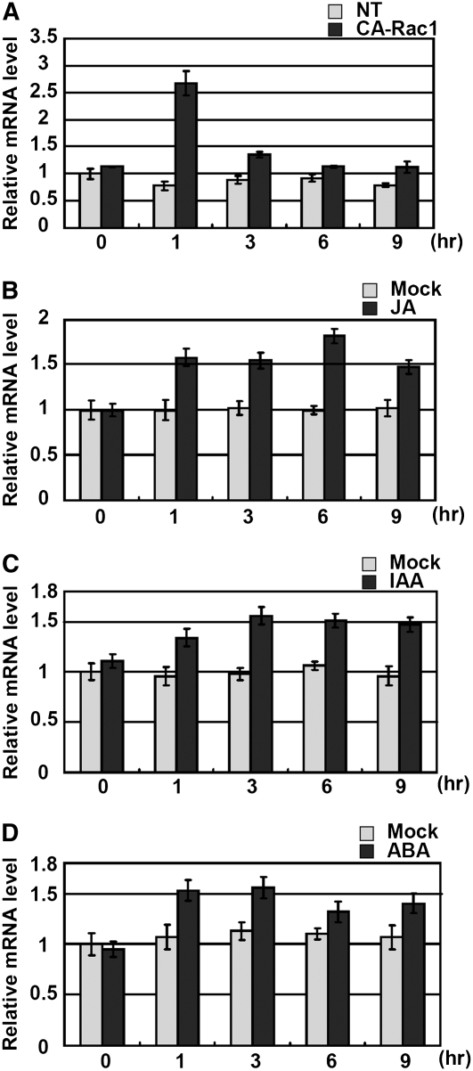 Figure 4.