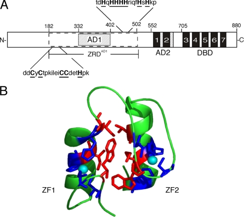 FIGURE 1.