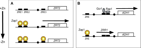 FIGURE 3.