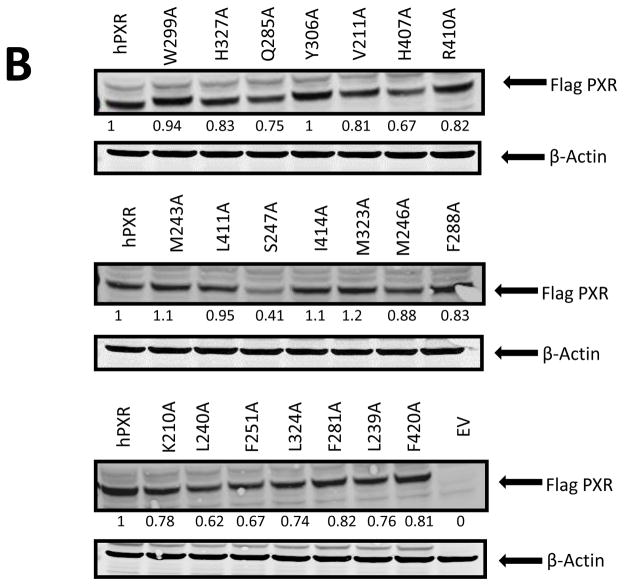 Fig. 12