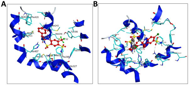 Fig. 10