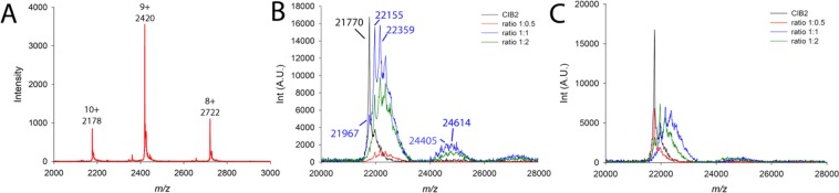 Figure 2