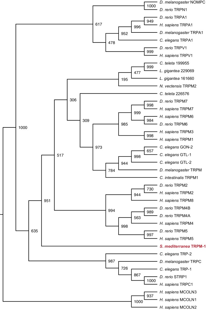 Figure 3—figure supplement 6.