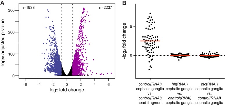 Figure 1—figure supplement 1.