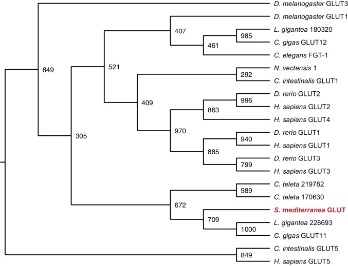 Figure 3—figure supplement 5.