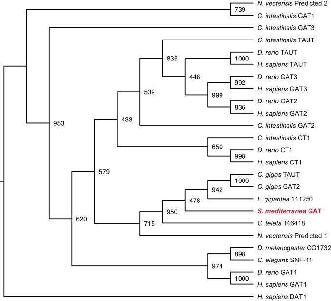 Figure 3—figure supplement 4.