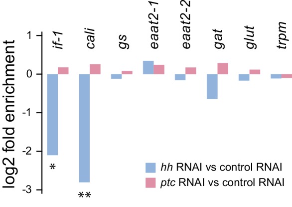 Figure 5—figure supplement 1.