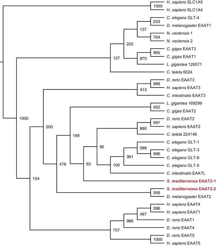 Figure 3—figure supplement 3.