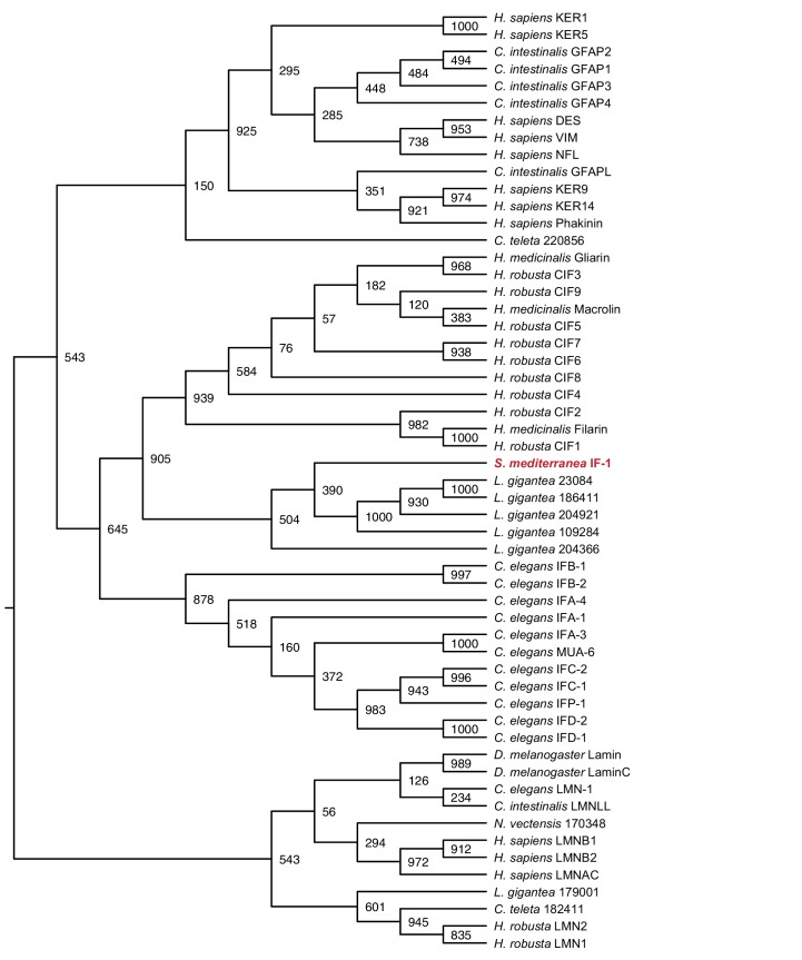 Figure 1—figure supplement 3.