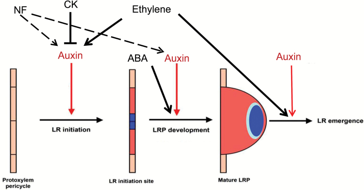 Fig. 10.