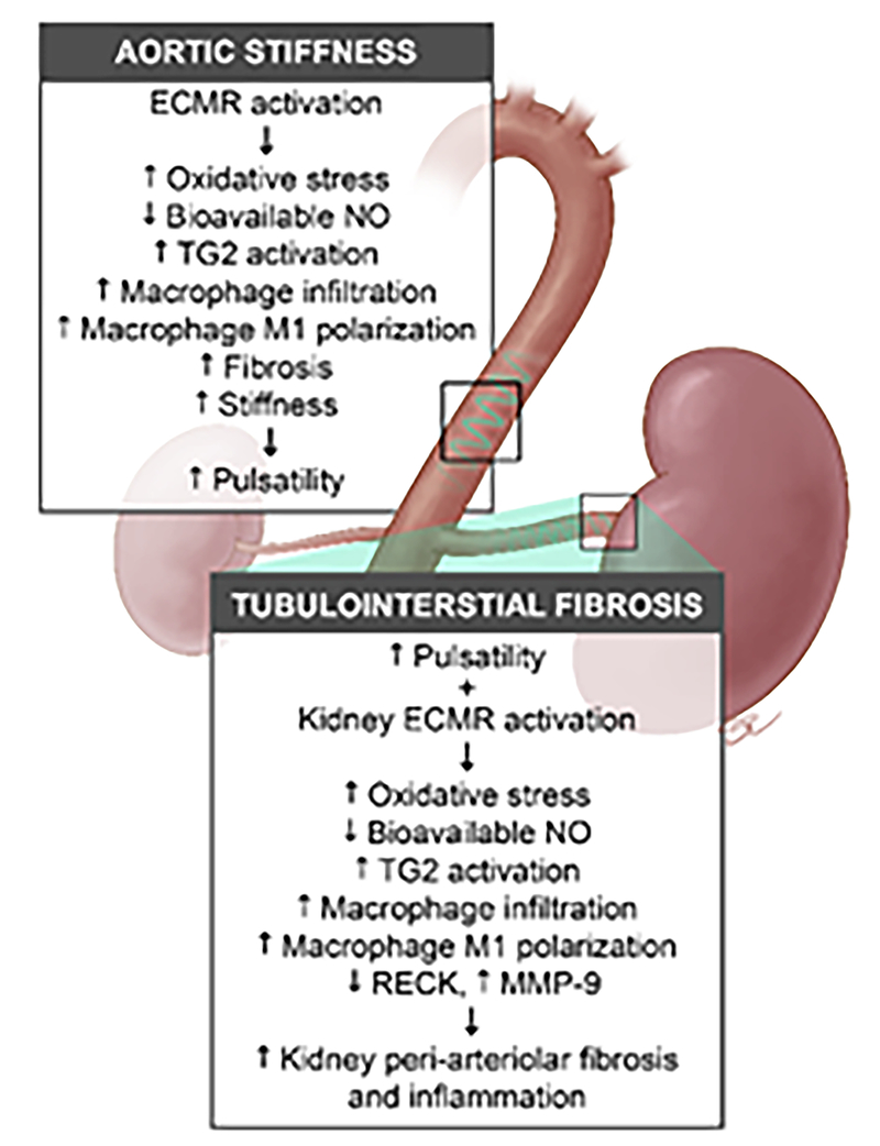 Figure 6: