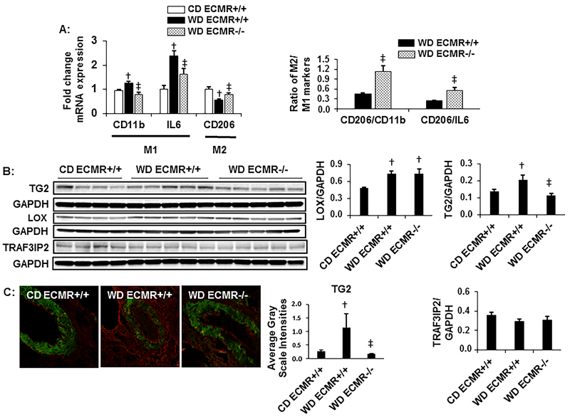 Figure 3: