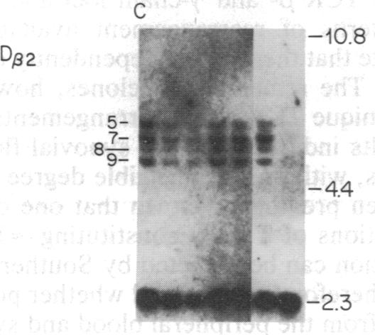 graphic file with name pnas00283-0205-e.jpg