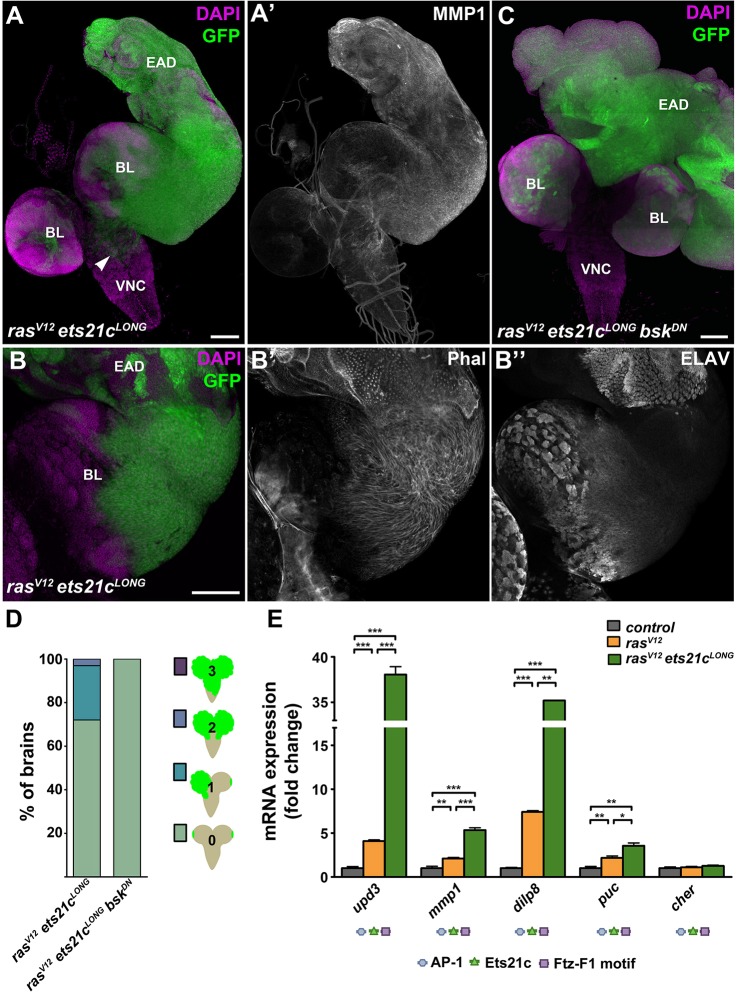 Fig. 6.