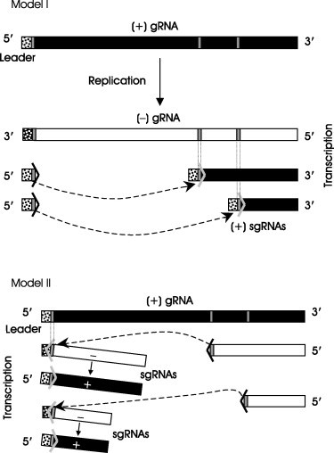 FIG 2