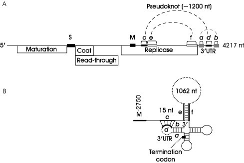 FIG 4