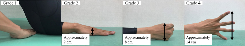 Fig. 2.