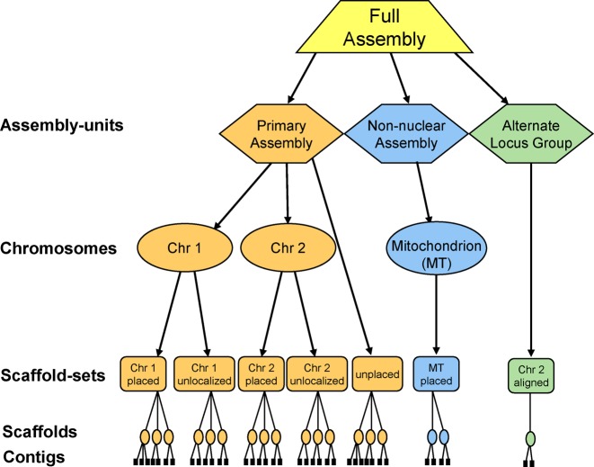 Figure 2.