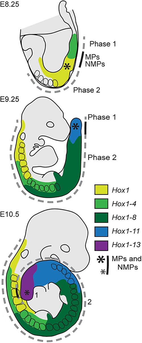 Figure 3.