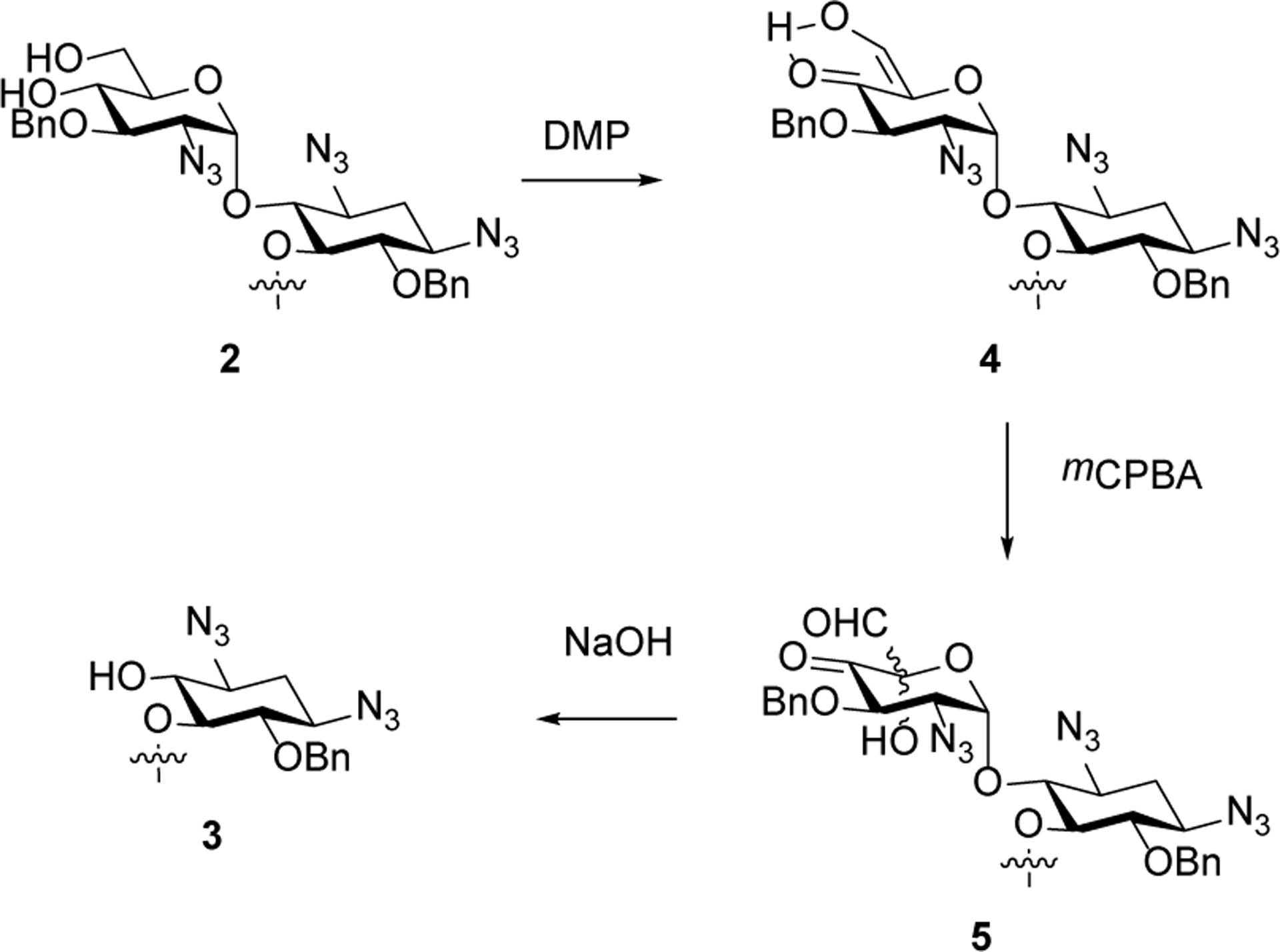 Scheme 3.