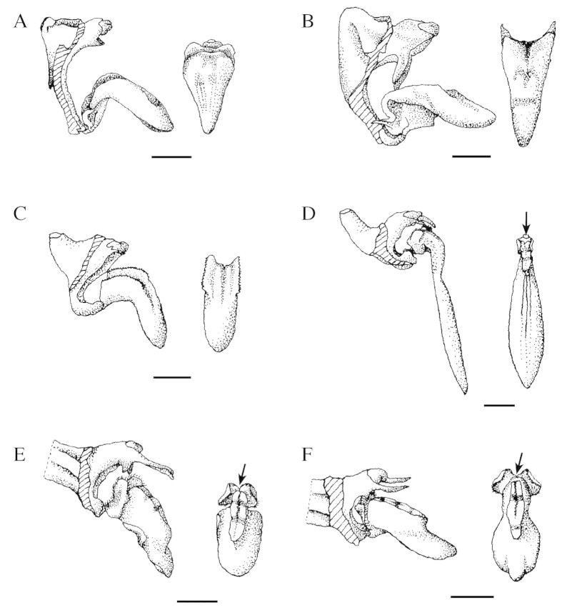 graphic file with name mch072f1.jpg