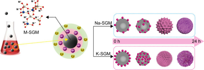 Figure 7