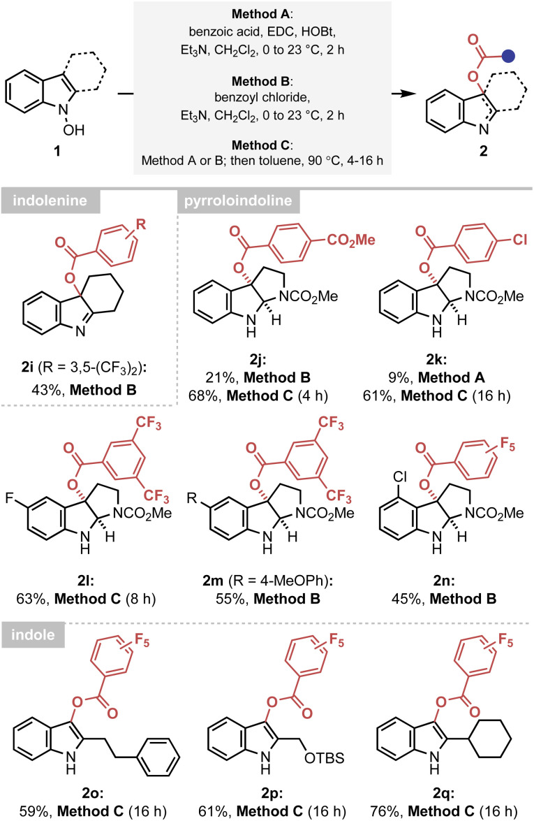 Scheme 2