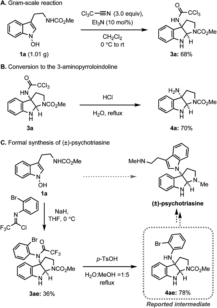 Scheme 4