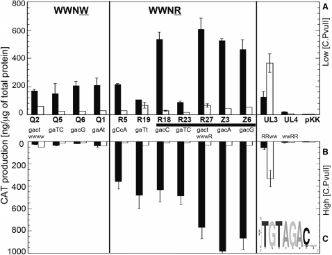 Figure 6.