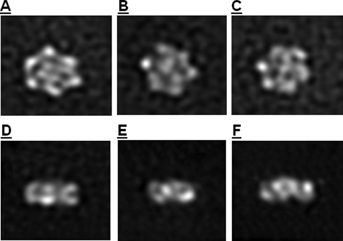 FIGURE 5.