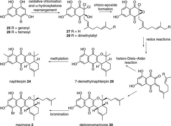 Scheme 6