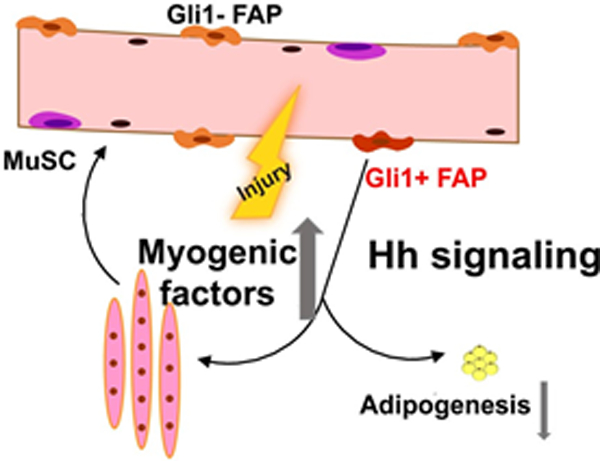 Fig 8.