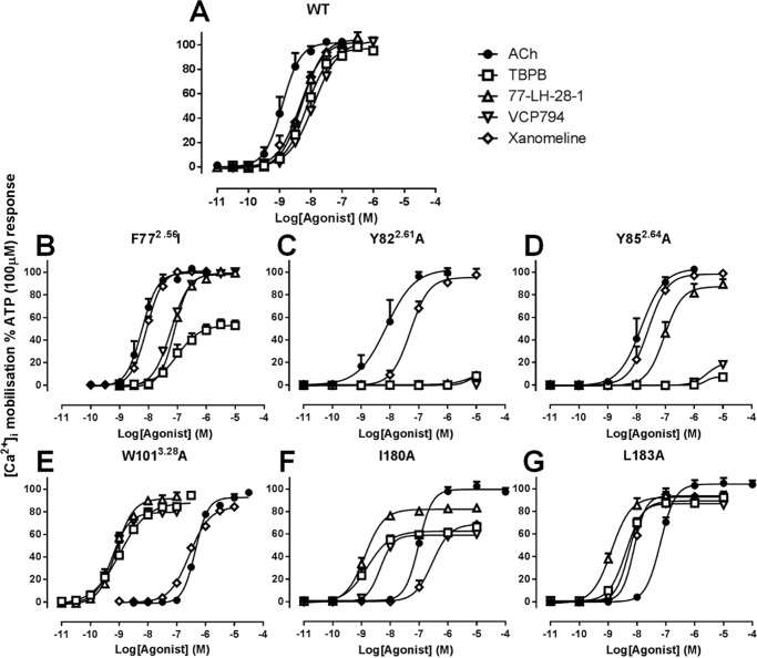 FIGURE 4.