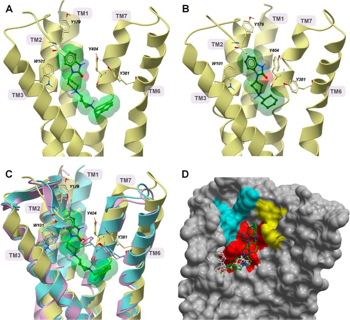 FIGURE 13.