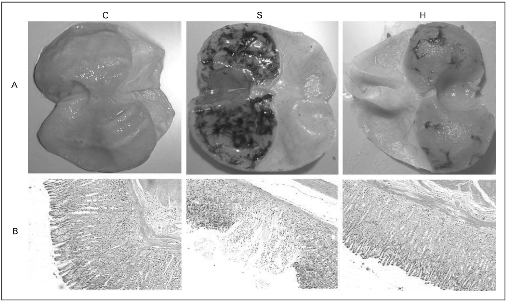 FIGURE 1.