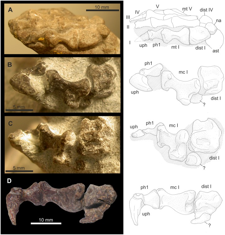 Figure 13