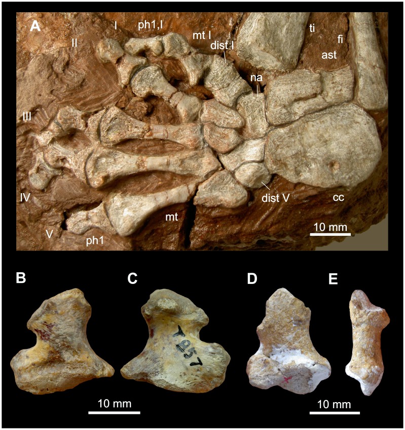 Figure 5