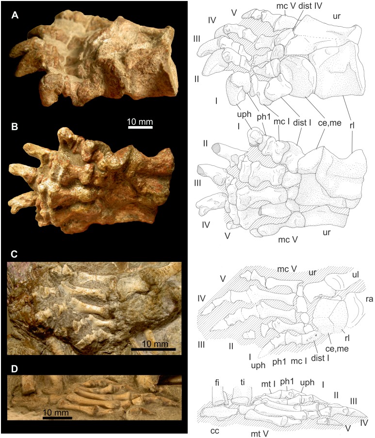 Figure 11