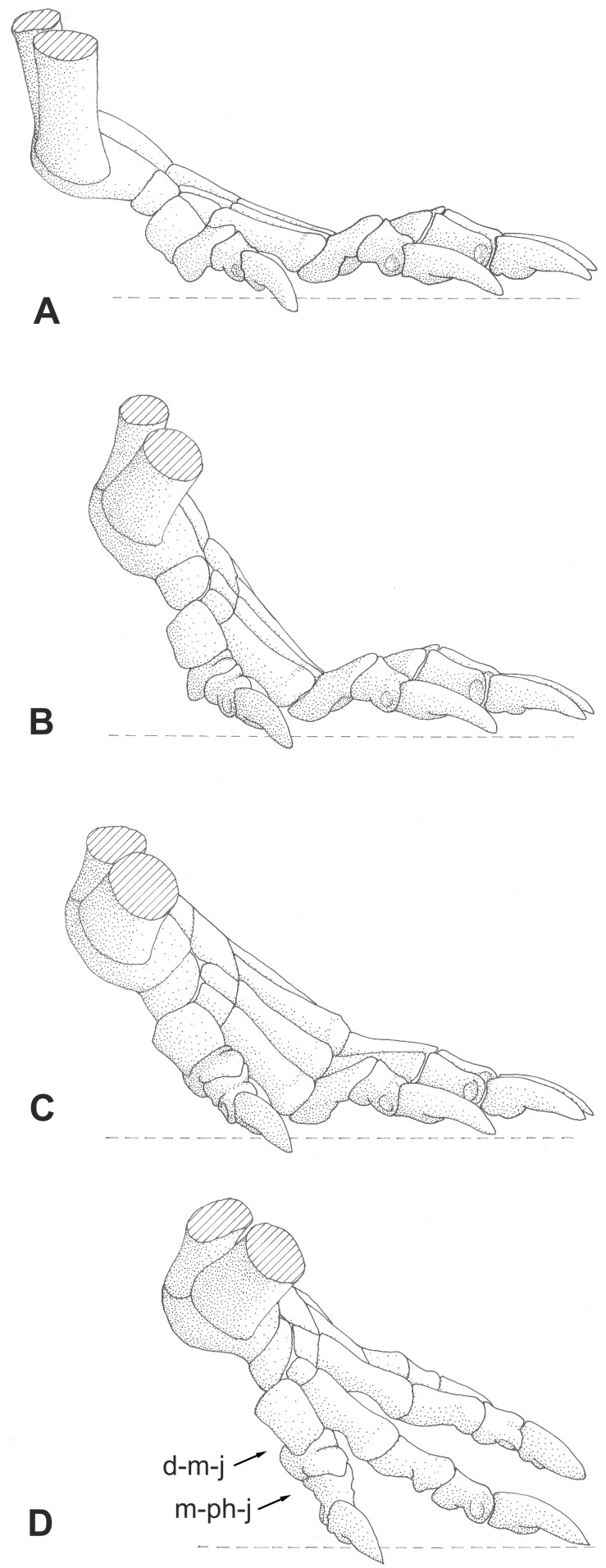 Figure 24