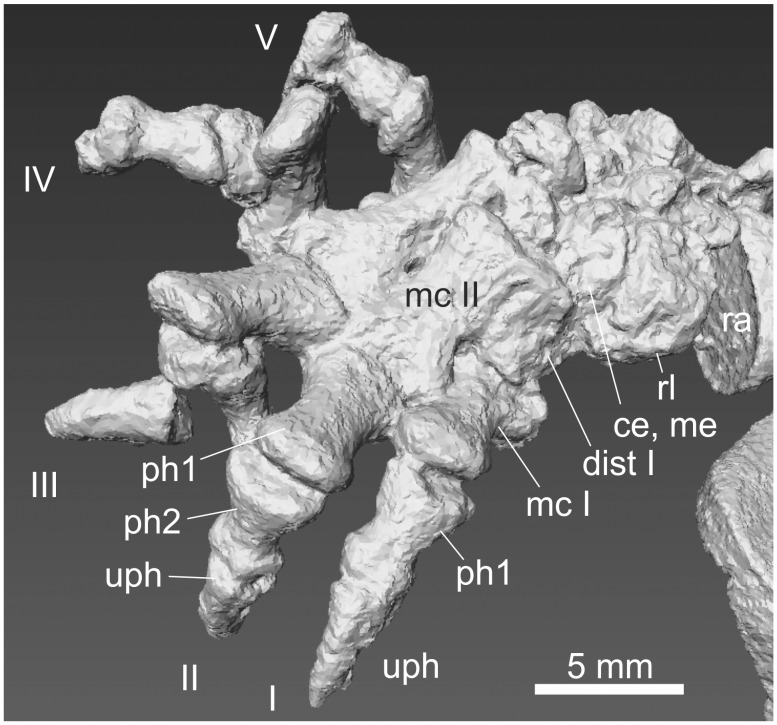 Figure 15